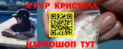 кокс Кингисепп