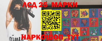 кокс Кингисепп