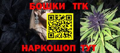 кокс Кингисепп