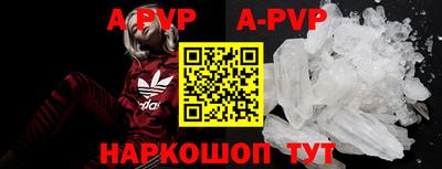 кокс Кингисепп