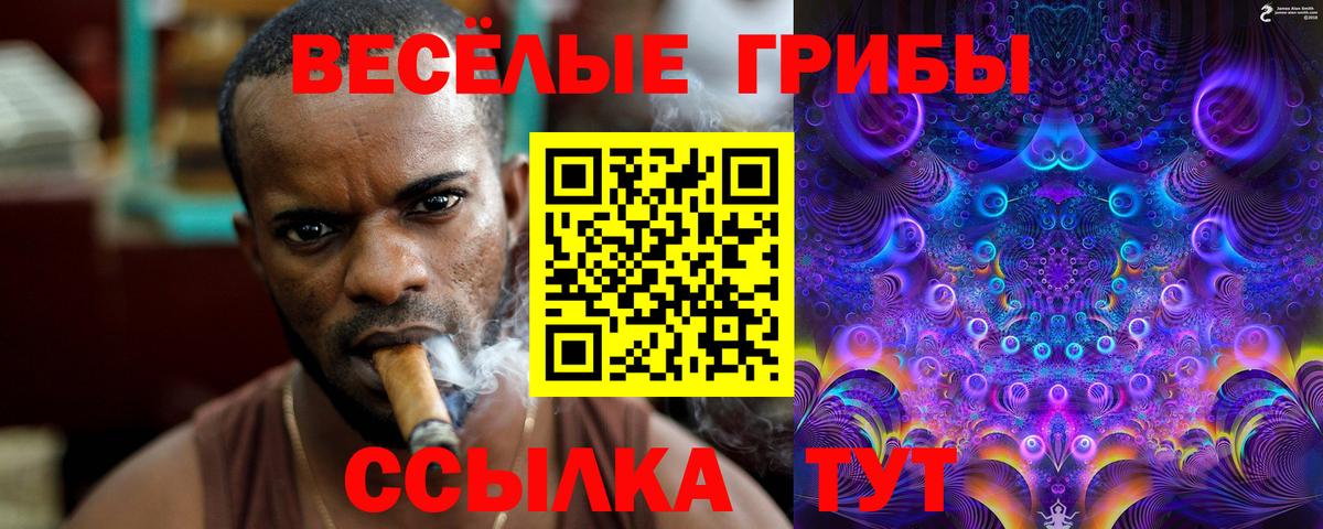 Псилоцибиновые грибы ЛСД  Вход с VPN  Дюртюли 
